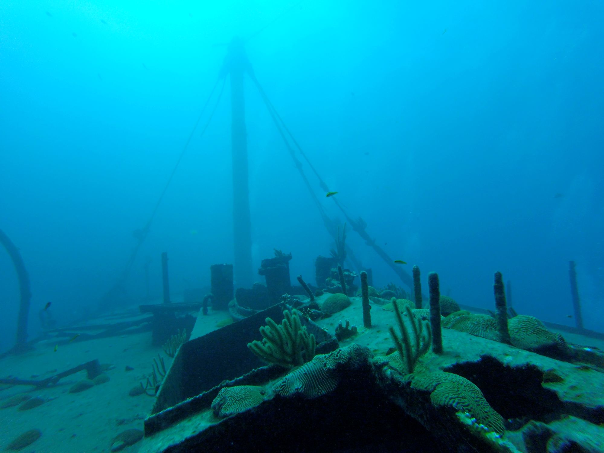 Wreck mast with coral colonization.